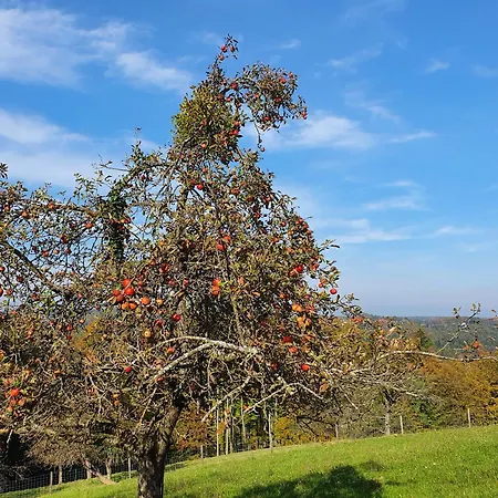 Am Trausdorfberg - Rosenblick Apartament *