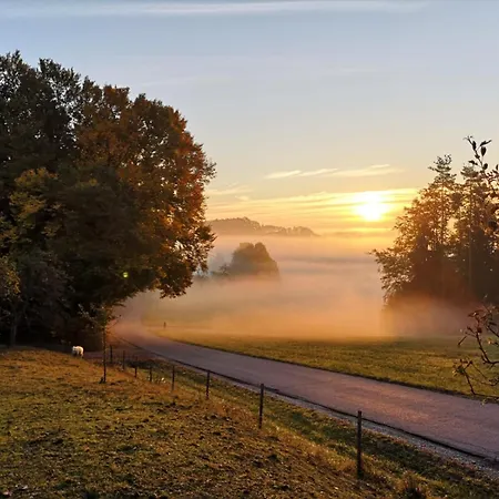 Am Trausdorfberg - Rosenblick *