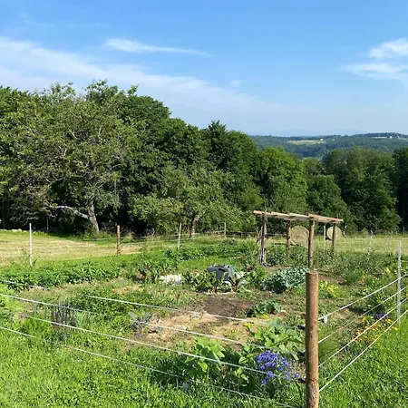 Appartement Am Trausdorfberg - Rosenblick *