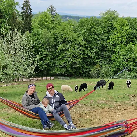 Am Trausdorfberg - Rosenblick * Goggitsch in Steiermark