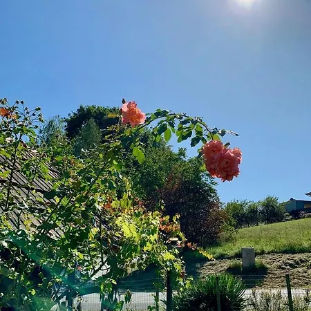 Am Trausdorfberg - Rosenblick Goggitsch in Steiermark