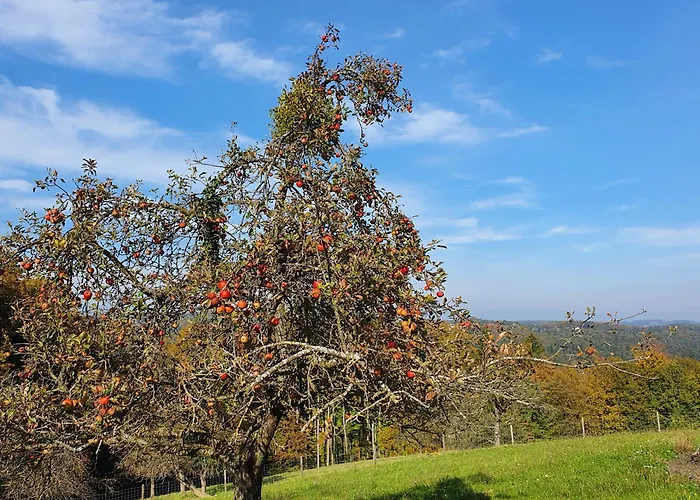 Am Trausdorfberg - Rosenblick Apartmán *