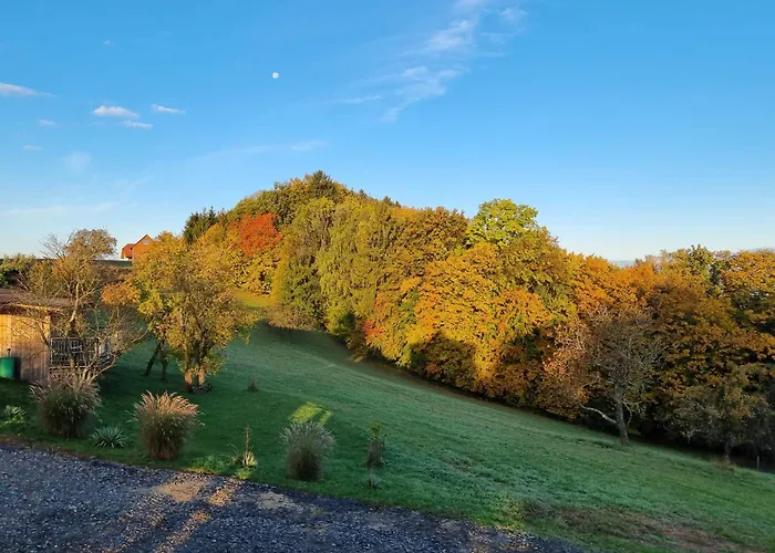 Am Trausdorfberg - Rosenblick Apartmán