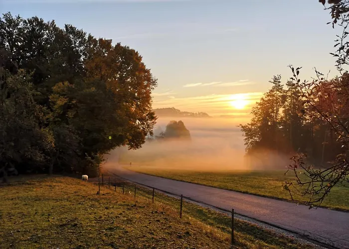 Am Trausdorfberg - Rosenblick *