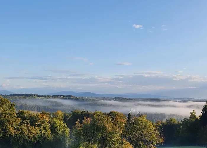 Am Trausdorfberg - Rosenblick