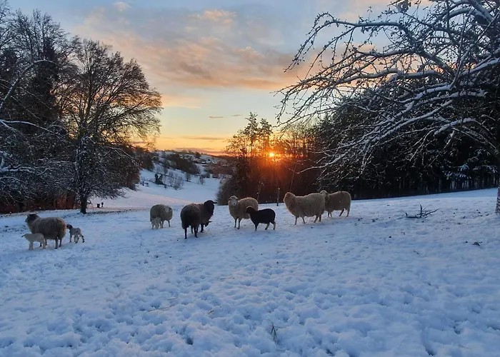 Am Trausdorfberg - Rosenblick Apartmán