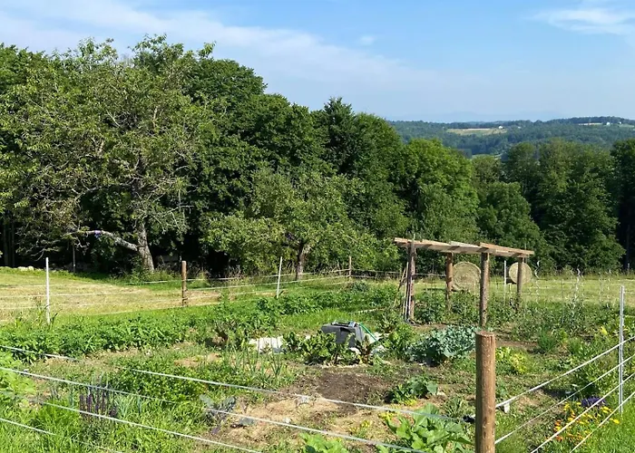 Apartmán Am Trausdorfberg - Rosenblick *