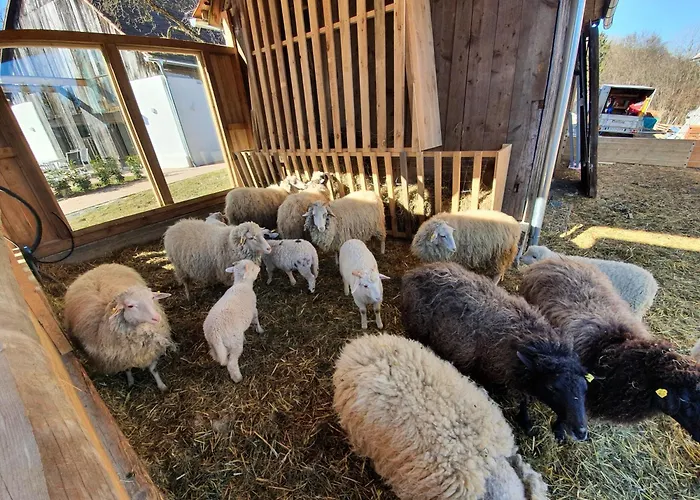 Am Trausdorfberg - Rosenblick Goggitsch in Steiermark