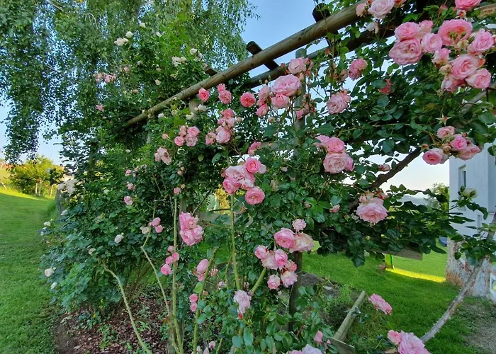 Am Trausdorfberg - Rosenblick 아파트 *