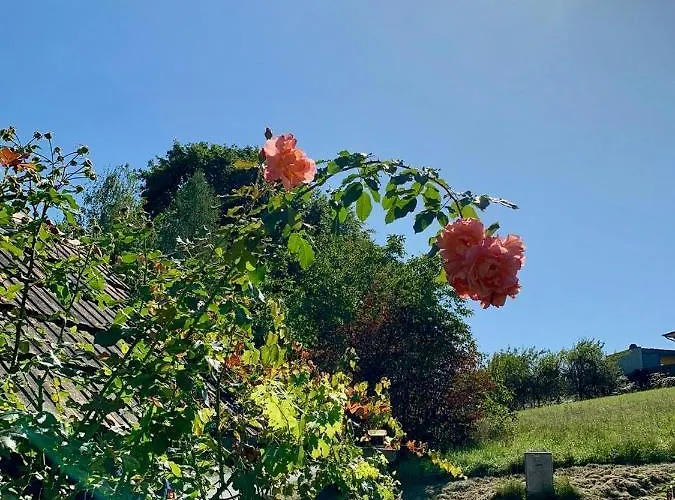 Am Trausdorfberg - Rosenblick Goggitsch in Steiermark